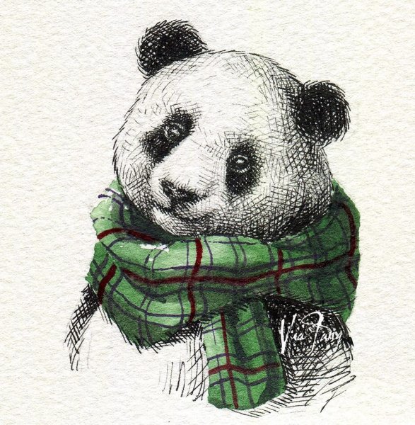 Панда арт