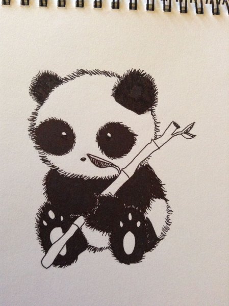 Панда рисунок набросок