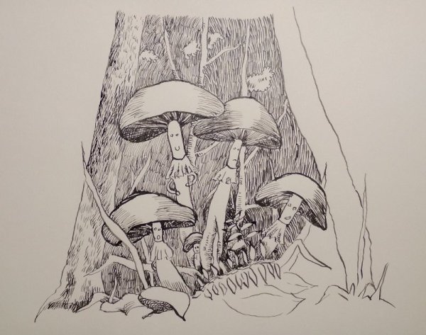 Наброски грибы карандаш