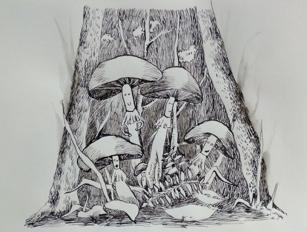 Грибы зарисовки карандашом