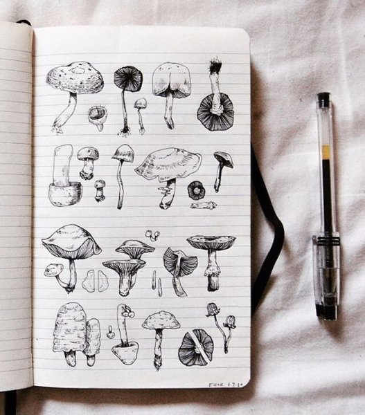 Рисунки для скетчбука предметы