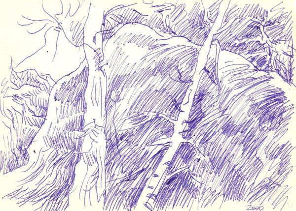 Передний план рисунка ручкой