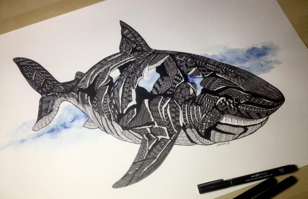 Декоративное рисование акулы
