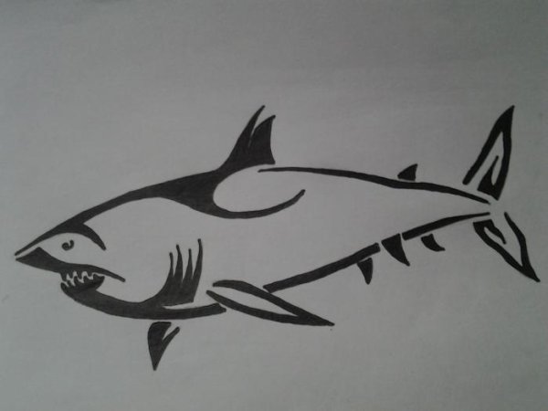 Акула рисунок ручкой