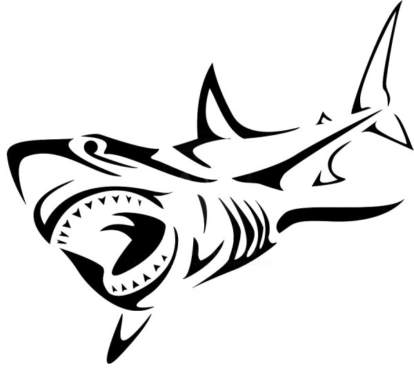 Тату акула эскиз