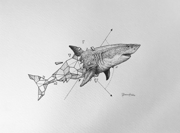 Керби Розанес акула