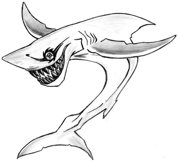 Акула набросок