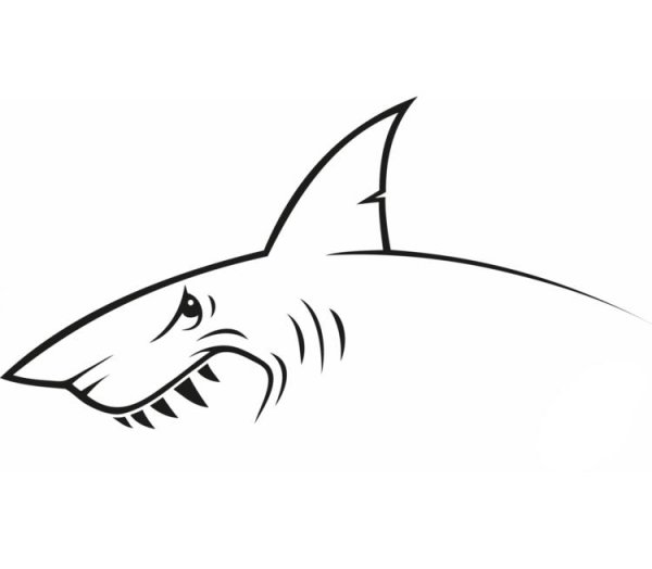 Shark трафарет