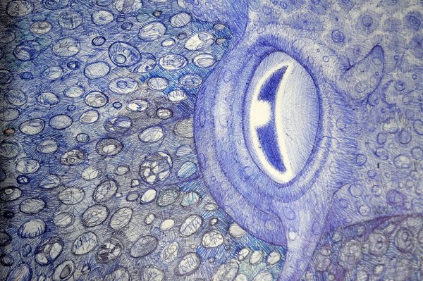 Осьминог шариковой ручкой