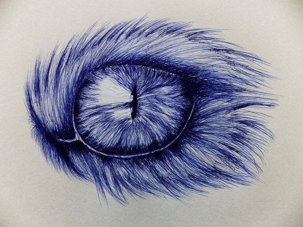 Рисунки ручкой