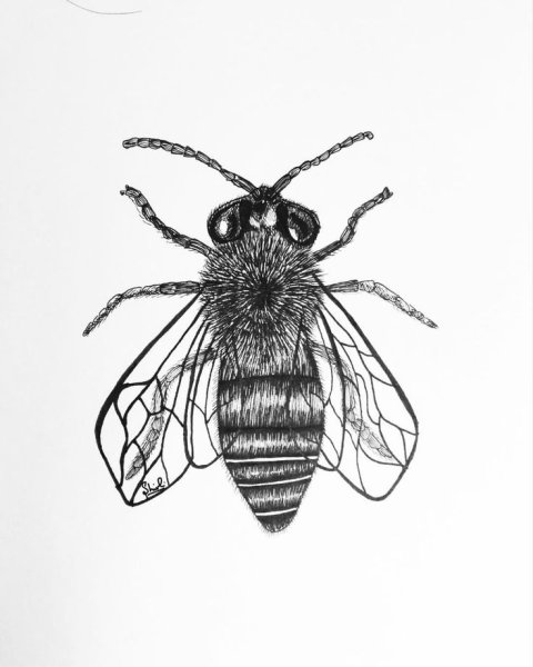 Стилизованная Муха