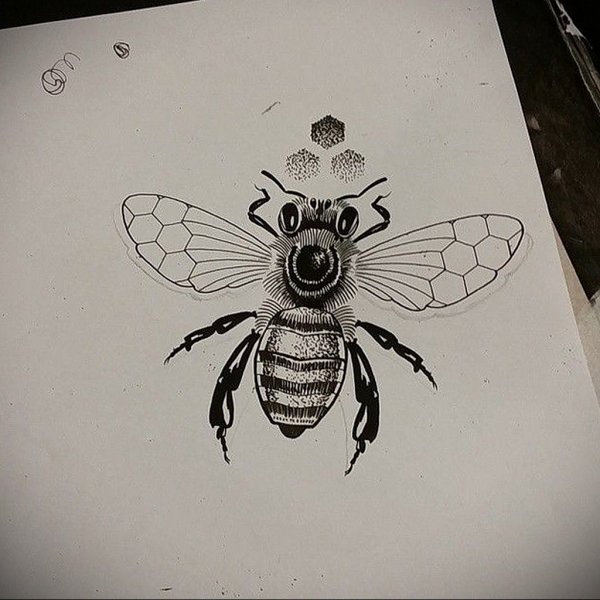 Пчела в графике