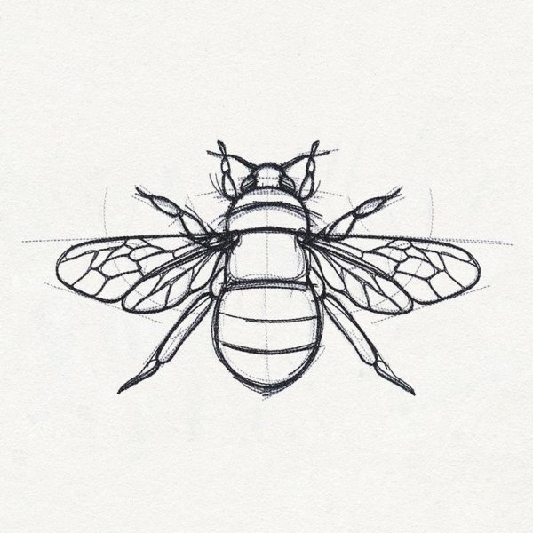 Стилизованная Муха