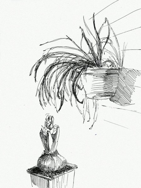 Наброски ручкой