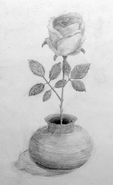 Трофические зарисовки с натуры