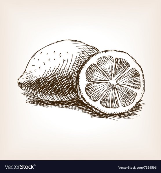 Фрукты в стиле скетч