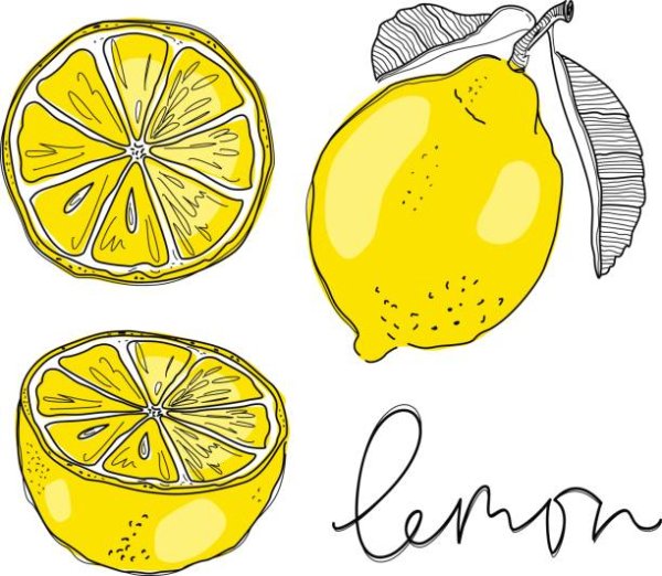 Лимон скетч