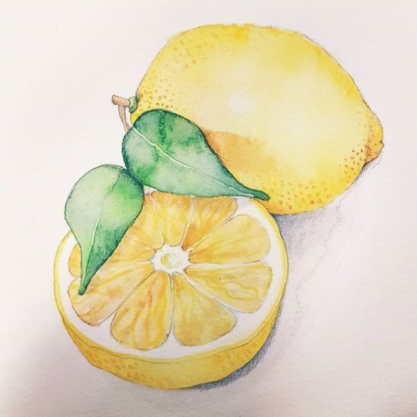 Лимон цветными карандашами