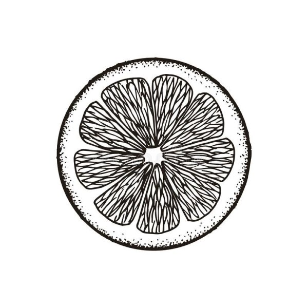 Апельсин гравюра