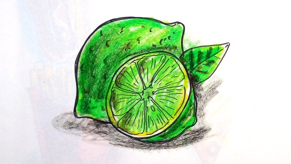Лайм скетч