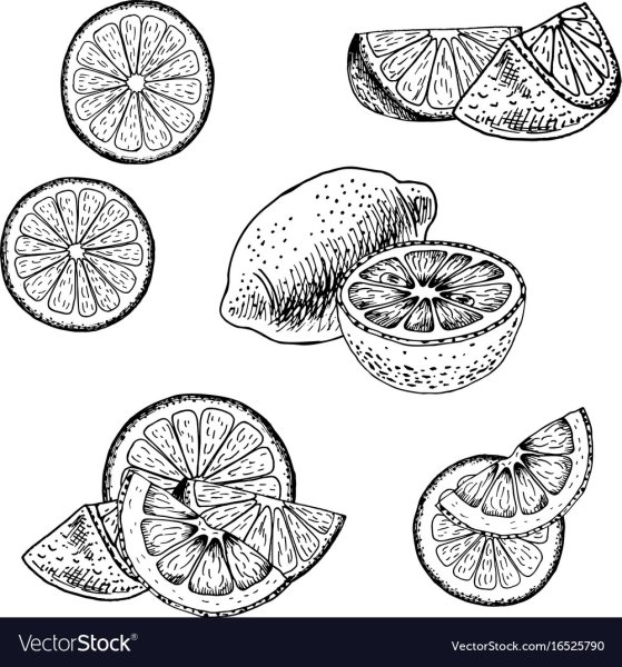 Лимон в разрезе