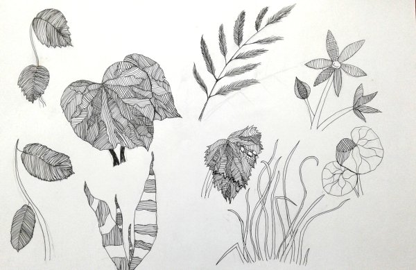 Графика гелевой ручкой листья