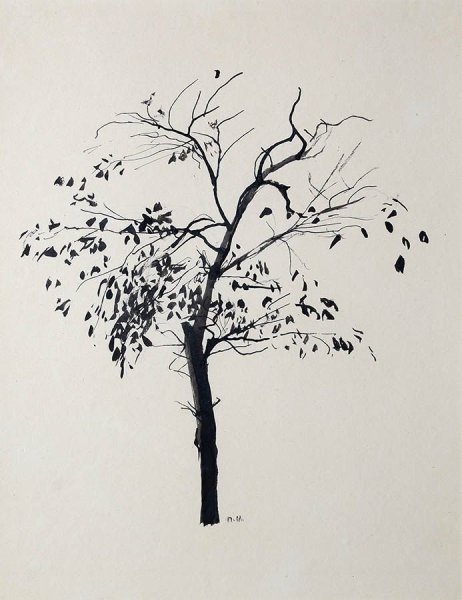 Митурич набросок дерева