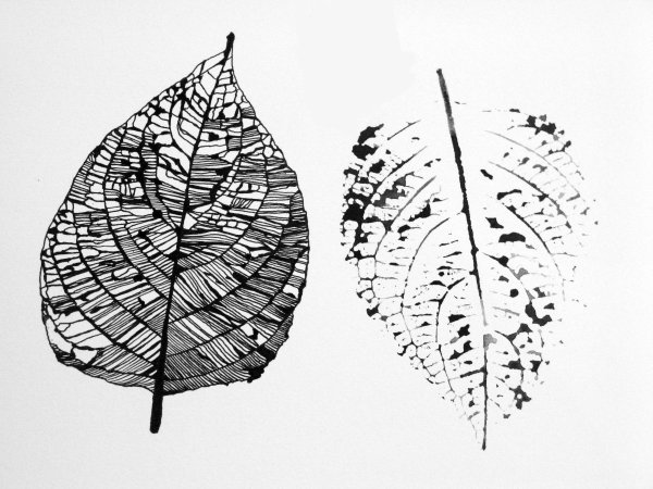 Стилизованный лист дерева