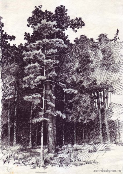 Графический пейзаж тушью