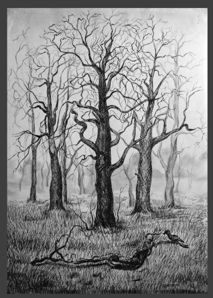 Природа в графике