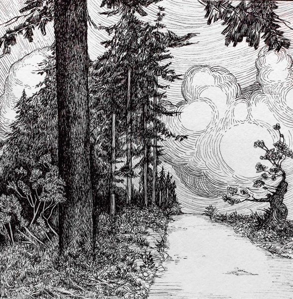 Графический пейзаж гелевой ручкой