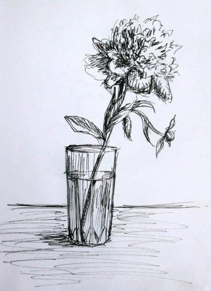 Зентангл натюрморт