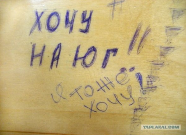 Прикольные надписи на партах