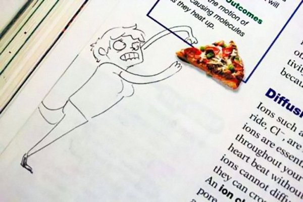 Смешные рисунки в школьных учебниках и тетрадях