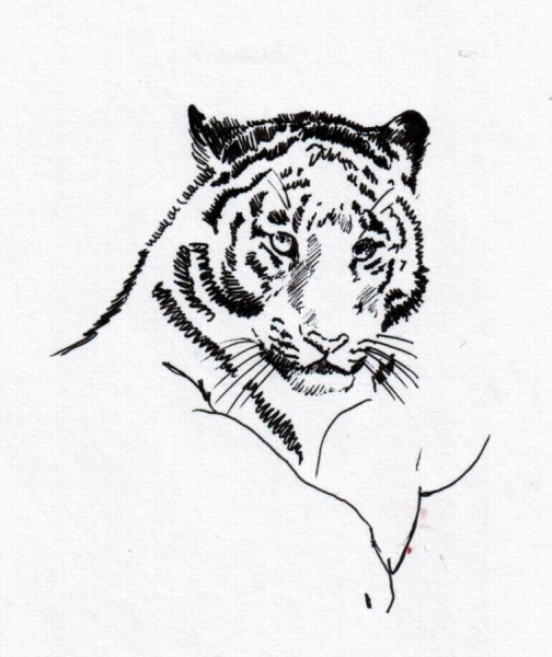 Ручка тигр