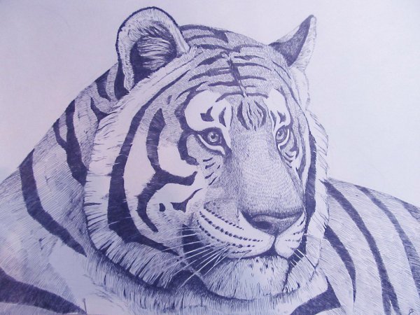 Ручка тигр
