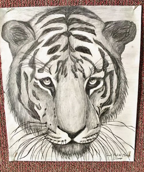 Керби Розанес геометрические звери