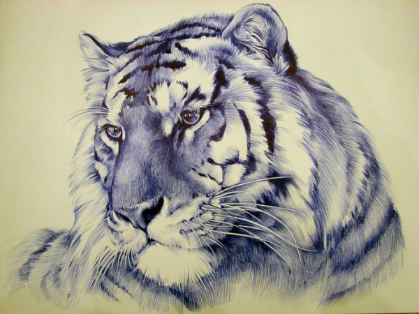 Тату тигр Графика