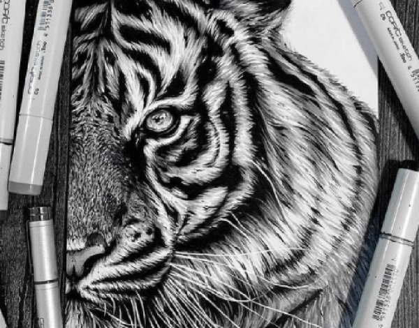 Тигр рисунок для выжигания