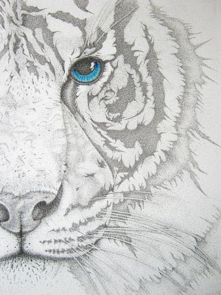 Графика животные