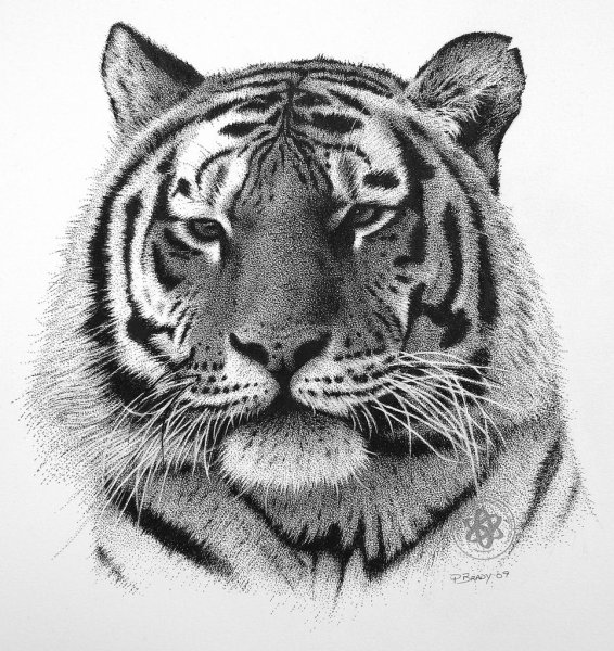 Красивые рисунки маркерами