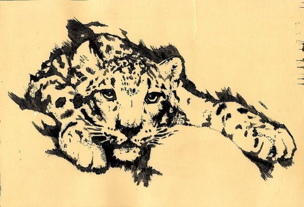 Рисунки животных