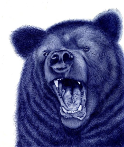 Реалистичные рисунки животных