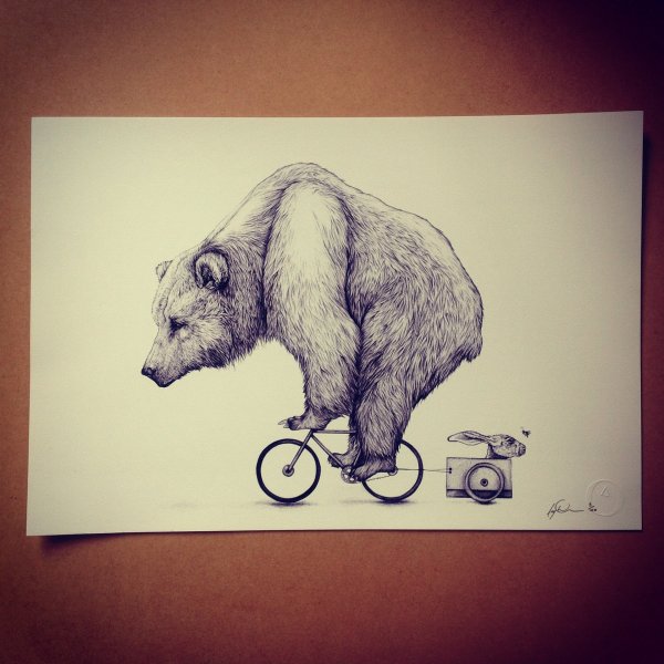 Тату медведь гравюра