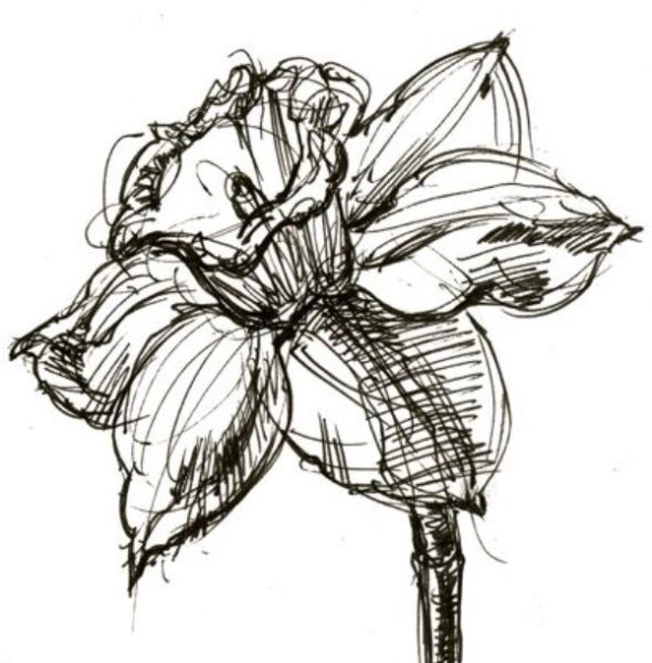 Наброски в цвете