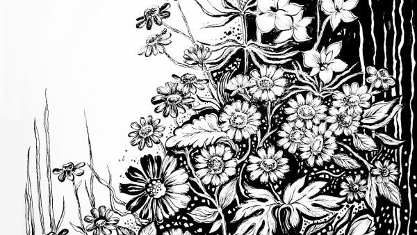 Графика цветы черно белые