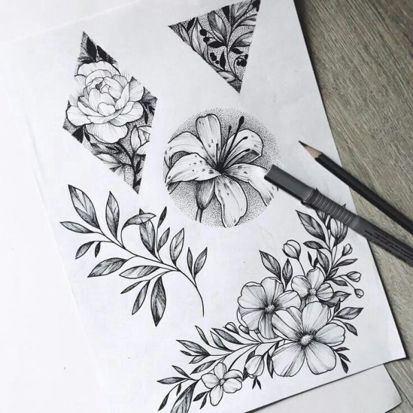 Цветы випшейдинг эскиз