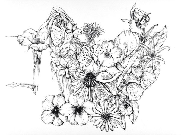 Цветы линером