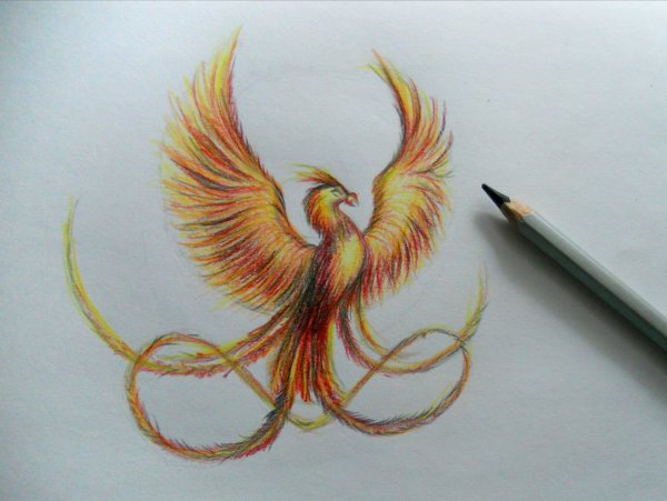 Сказочная птица Графика