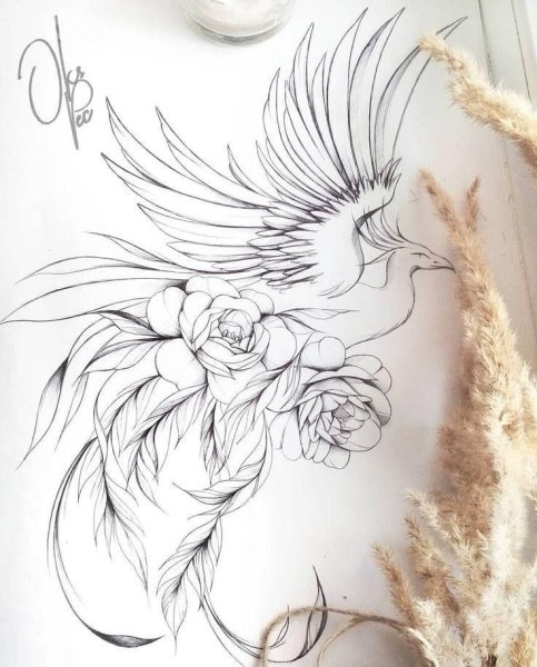 Жар птица эскиз